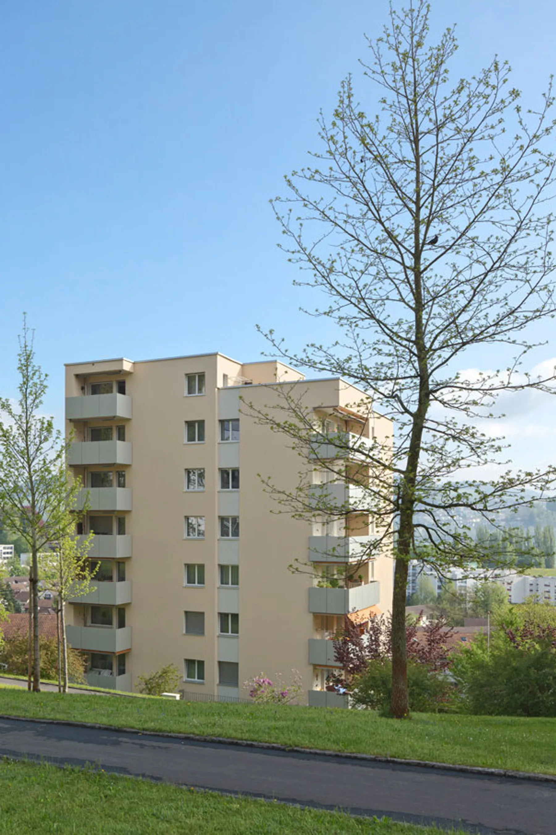 Studhalden  2