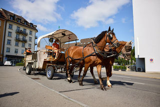 Im gemütlichen Trab zur Grünabfuhr