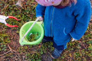 Das Kübelchen weniger Abfall macht den Unterschied