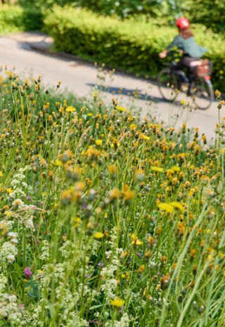 Nachhaltigkeit leben und feiern