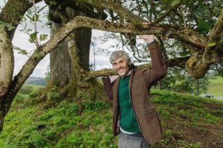Vogelbeeren für die Konfitüre