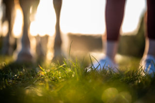 Güsel sammeln oder Runden rennen