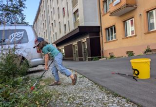 Weg mit Zigarettenstummeln, Plastikverpackungen und Kaugummis