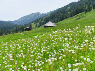 Zur Mall of Switzerland oder um den Schimbrig