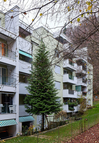 28 gemeinnützige Wohnungen mehr