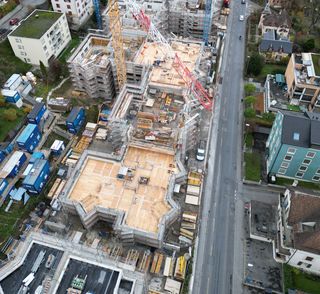 Schau mal, wie es wächst