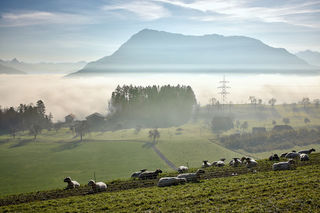 Über Stock, Stein und Asphalt