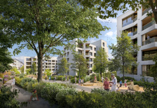 Ein kleines Paradies entsteht – Nutzgarten inklusive