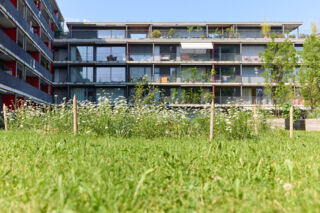 Von den leisen Seiten eines Wohnbaus