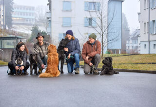 24 Pfoten für den Böshüsliweg