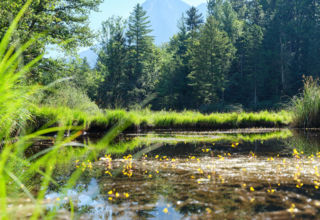 Wanderprogramm im Jubiläumsjahr