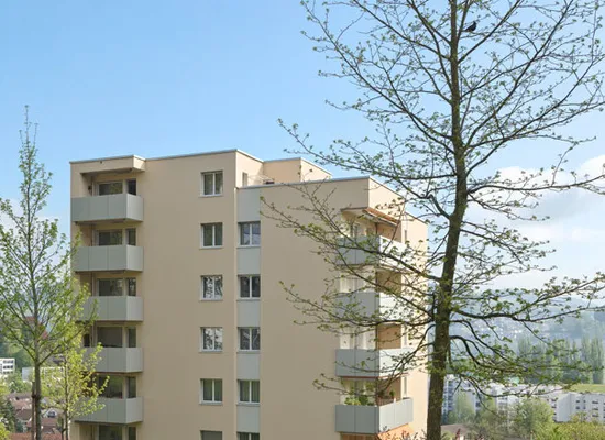 Studhalden  2