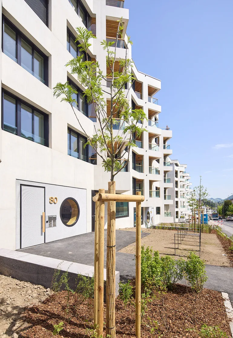 Ihr neues Zuhause?